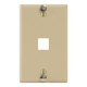 Telephone Faceplate with 1 Port for EZ®/HD Style and Hanging Standoffs, White - IC107FFWIV Telephone Faceplate with 1 Port for EZ®/HD Style and Hanging Standoffs, White - IC107FFWIV